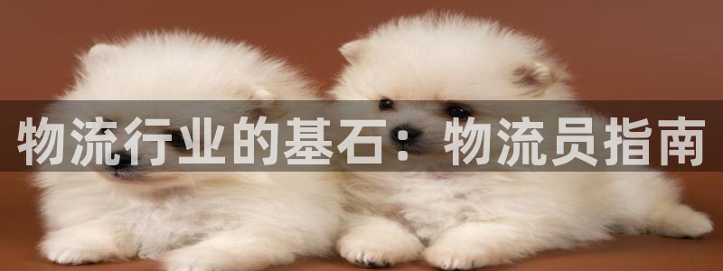 28圈.ccm官网：物流行业的基石：