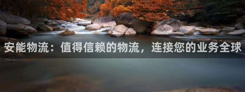 28圈登录用户名登录不上：安能物流：