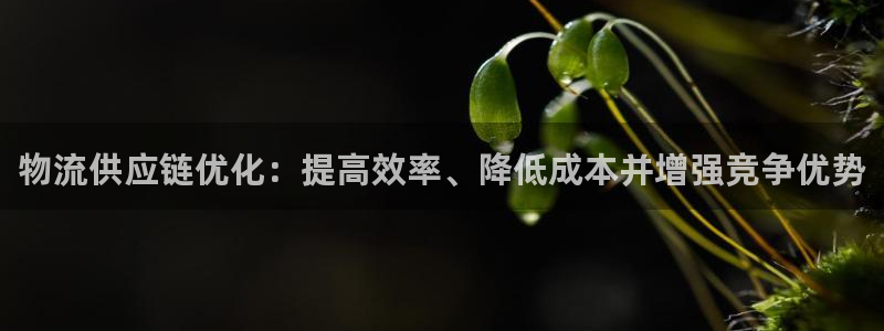 28圈人头费