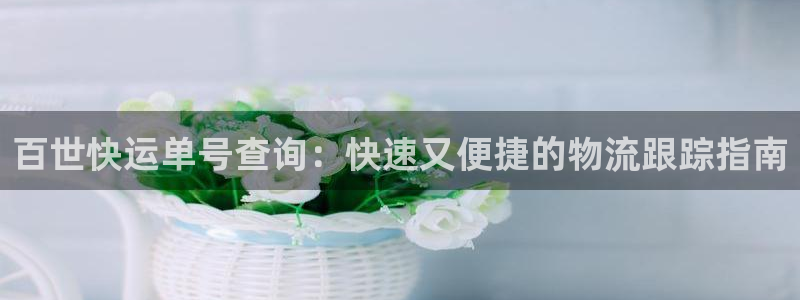 28圈反水：百世快运单号查询：快速又