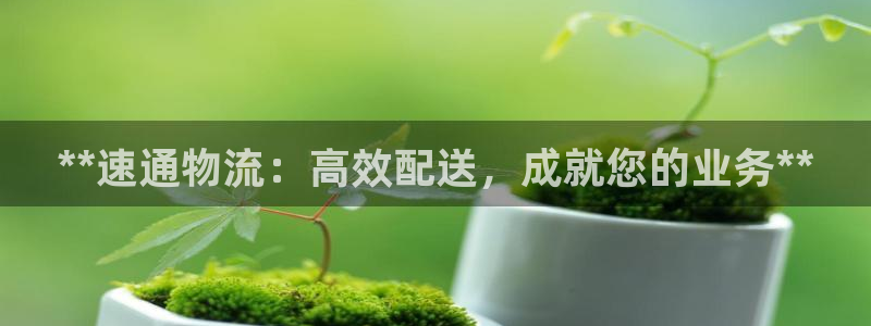 28圈.ccm官网：**速通物流：高