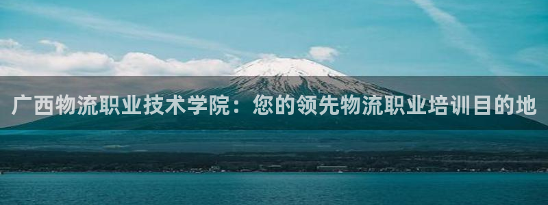 28圈.ccm2024：广西物流职业