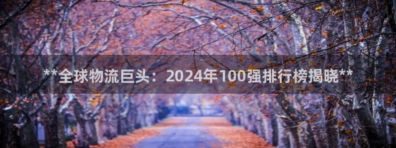 28圈登录不上咋回事：**全球物流巨