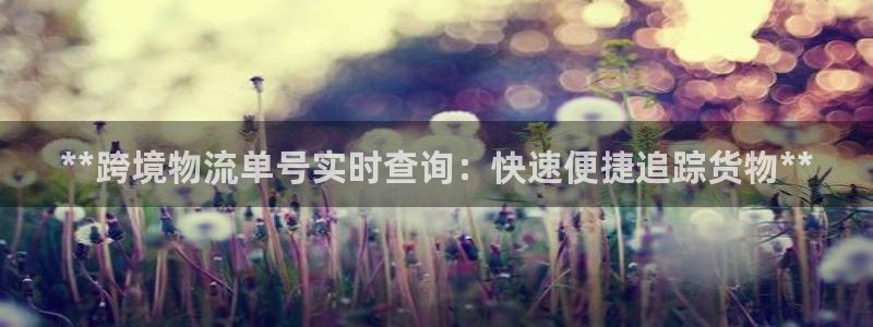 28圈入口问一问：**跨境物流单号实