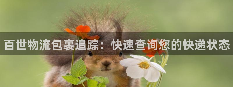 28圈注册网站APP：百世物流包裹追