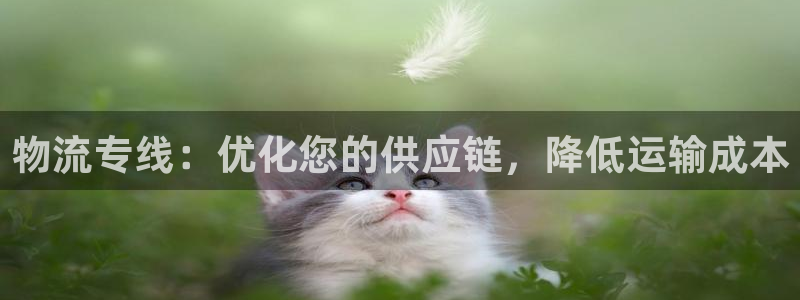 28圈官方平台
