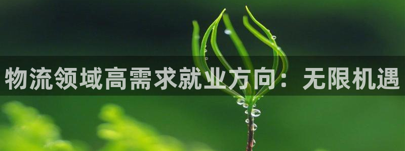 28圈圈助手