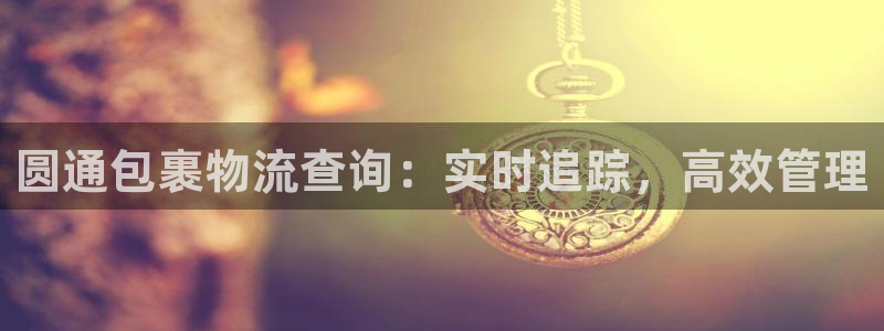 28圈反水：圆通包裹物流查询：实时追