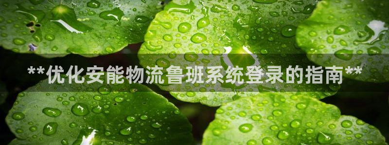 28圈昵称：**优化安能物流鲁班系统
