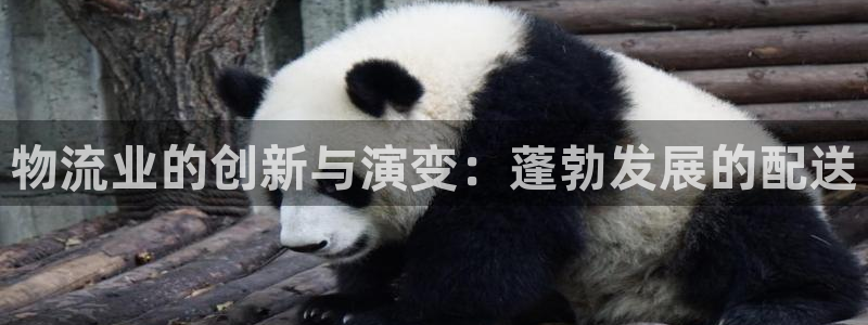 28圈软件：物流业的创新与演变：蓬勃