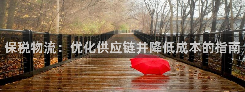 28圈怎么下载教程：保税物流：优化供