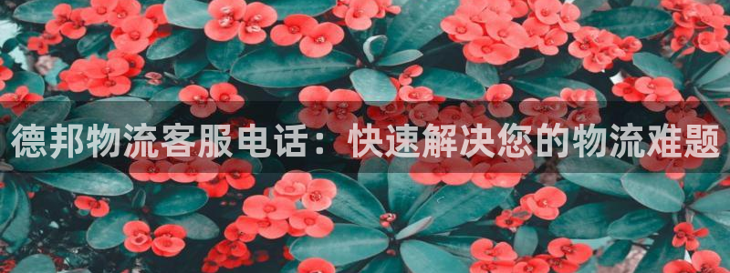 28圈官方网站