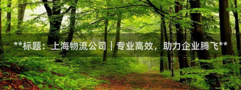 28圈预测