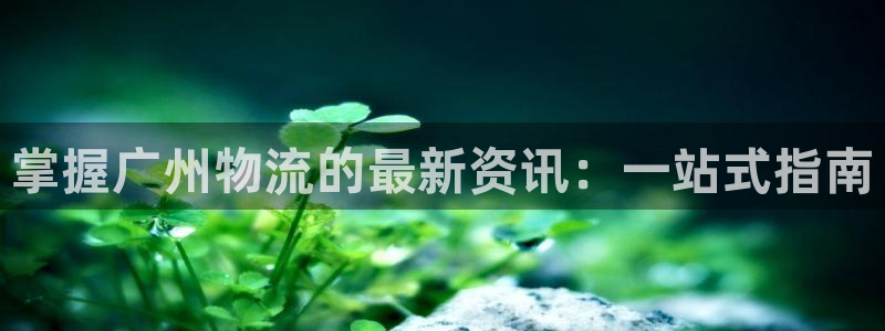 28圈起来的符号