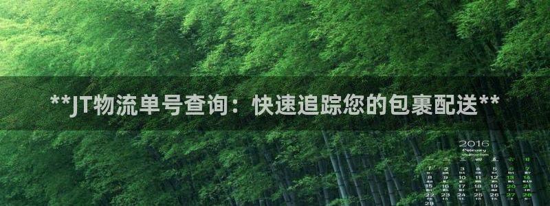 28圈预测：**JT物流单号查询：快