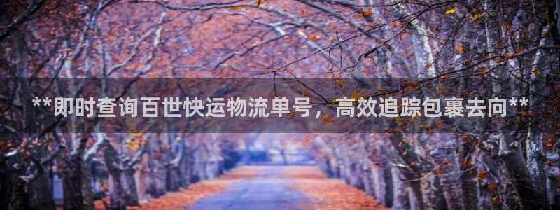 28圈注册登录：**即时查询百世快运