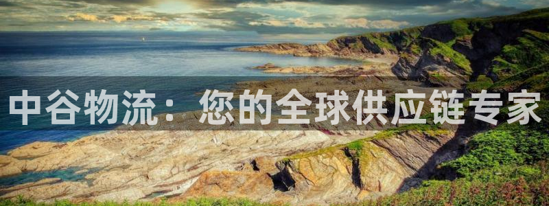 28圈游戏官网版