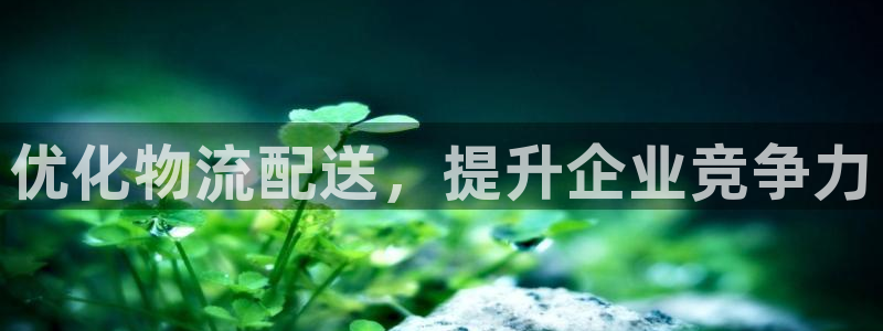28圈麻将胡了在线试玩：优化物流配送