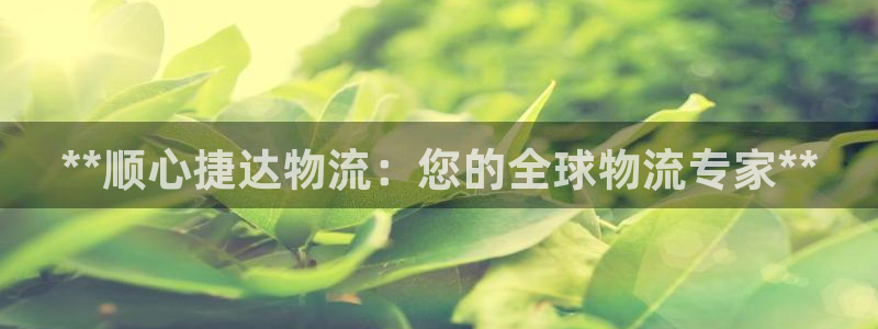 28圈登录用户名登录不上：**顺心捷
