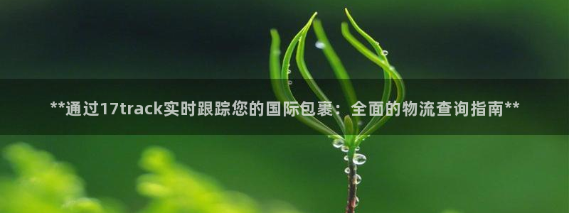 28圈ip被限制怎么解决：**通过1