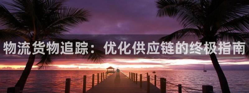 28圈南宫娱乐官网：物流货物追踪：优
