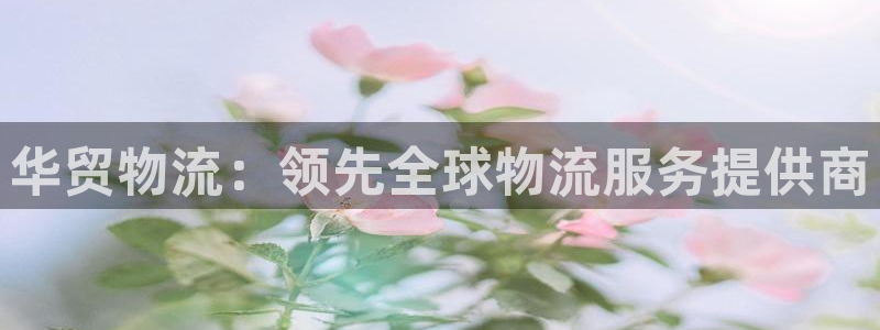 28圈的自行车