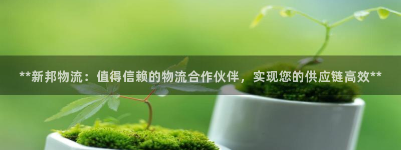 28圈娱乐官网网页下载