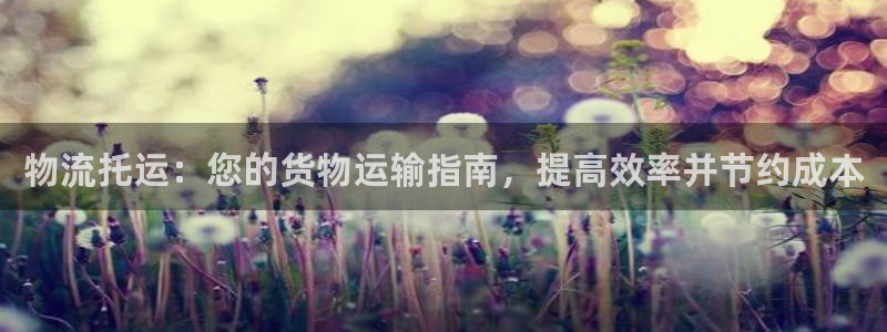 28圈麻将胡了