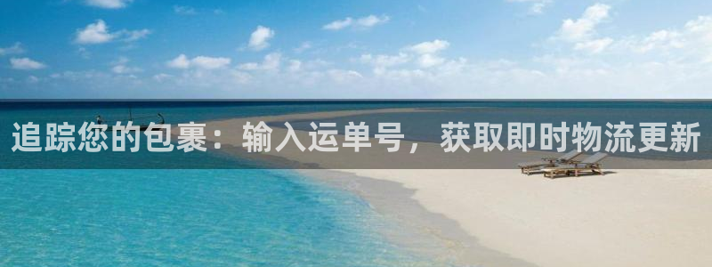 28圈图片：追踪您的包裹：输入运单号