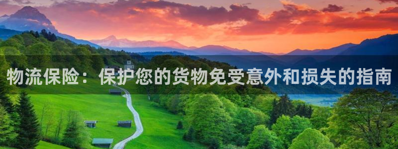 28圈体育下载：物流保险：保护您的货