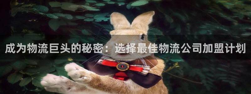 28圈的平台