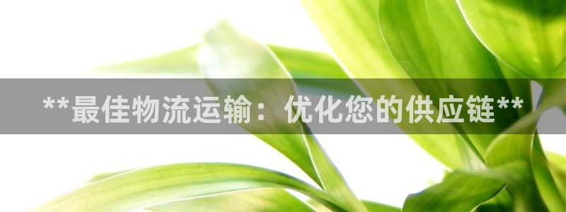 加拿大28圈数字规则