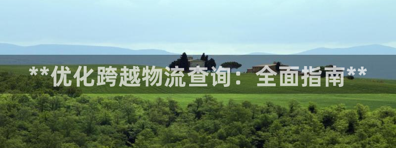 28圈链接：**优化跨越物流查询：全