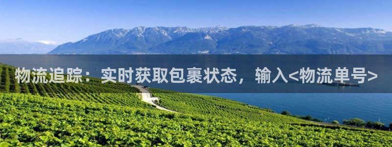 28圈p扣款什么意思