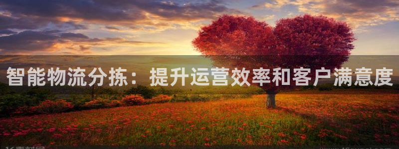 28圈.ccmpcios：智能物流分