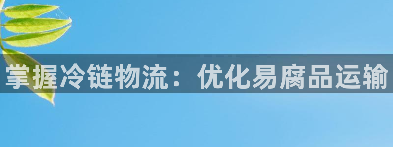 28圈系统自动保护：掌握冷链物流：优