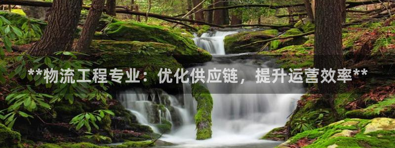28圈官网下载链接是什么网站