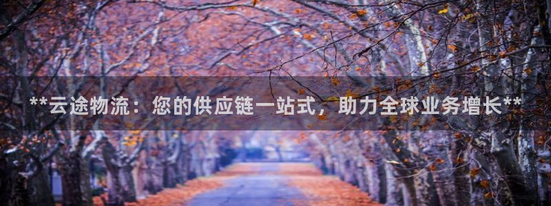 28圈比特28预测在线预测：**云途