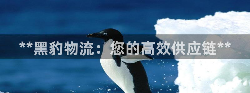 28圈预测加拿大师准