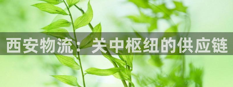 28圈注册条件：西安物流：关中枢纽的