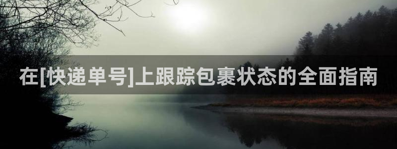 28圈预测加拿大师准