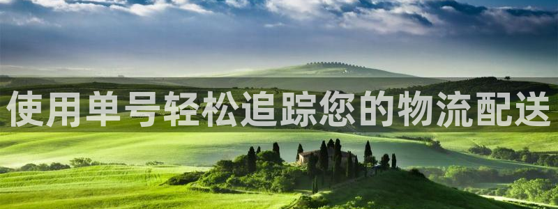 28圈正规吗?