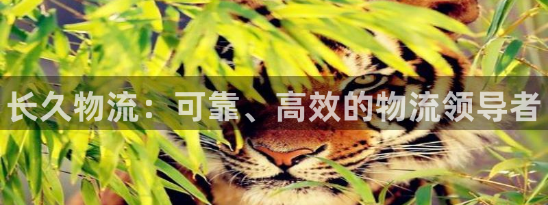 28圈初始资金密码在哪里改