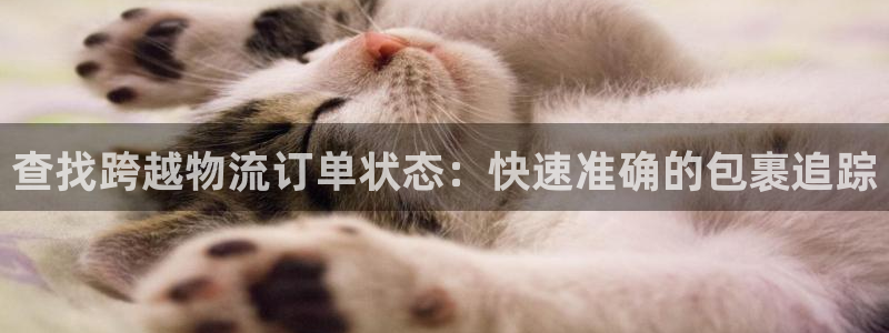 28圈起来的符号
