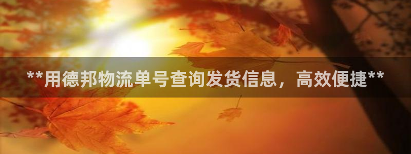 28圈预测加拿大师准