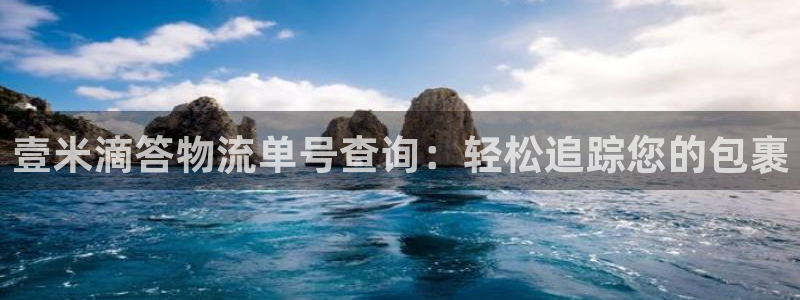 28圈预测加拿大师准：壹米滴答物流单