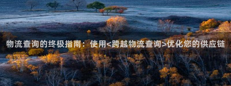 28圈登录：物流查询的终极指南：使用