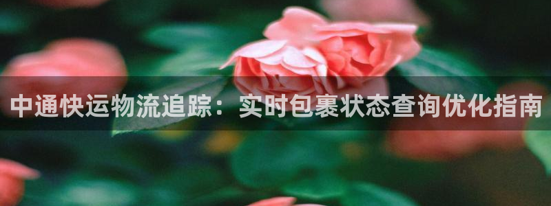 28圈充值不到账什么原因
