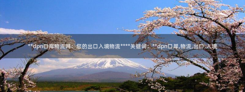 28圈p扣除