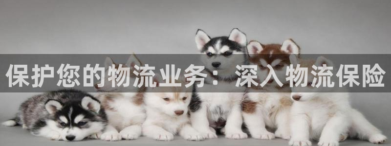 28圈官网注册：保护您的物流业务：深
